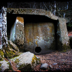 img 4949 www 20100606