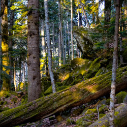 img 5185 www 20100606