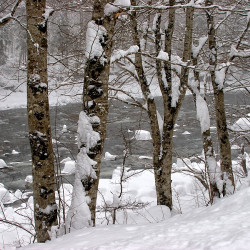 img 6311 www 20100529