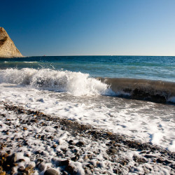 img 8667 www 20100216