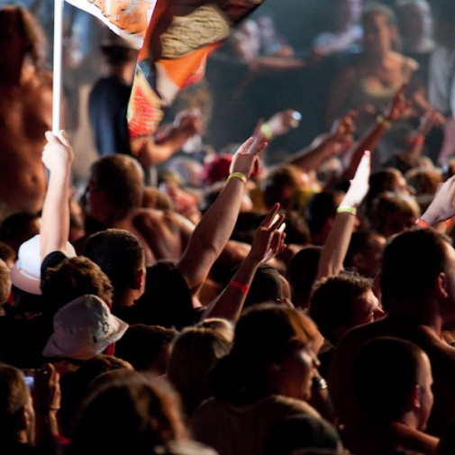  mg 3982 www 20100818